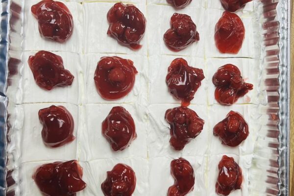 408055438_916573173424683_6161837865516687552_n 408055438_916573173424683_6161837865516687552_n