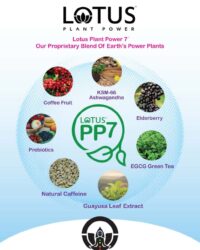 original-374B3F93-A043-4B43-B9A9-5E9ACBD3CEE7 original-374B3F93-A043-4B43-B9A9-5E9ACBD3CEE7