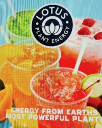 original-74BDE73F-AA9B-49C0-A0E2-437749FCC573 original-74BDE73F-AA9B-49C0-A0E2-437749FCC573